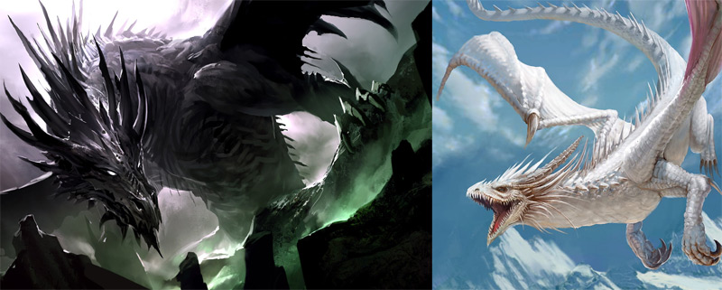 Dragon noir et dragon blanc