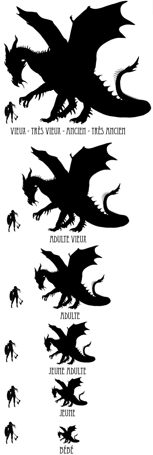 Taille de dragons (noirs) par rapport à leur âge
