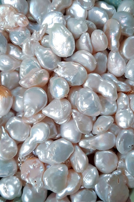 Perles baroques de sangsues géantes amphisbène