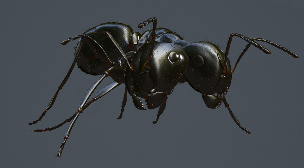 Être regardé par une de ces fourmis géantes bicéphales n'est pas une expérience agréable.