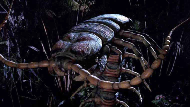 Les insectes géants sont un grands classique du sort invocation de monstres.