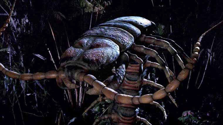Les insectes géants sont un grand classique
du sort invocation de monstres. Les insectes géants sont un grand classique du sort invocation de monstres.