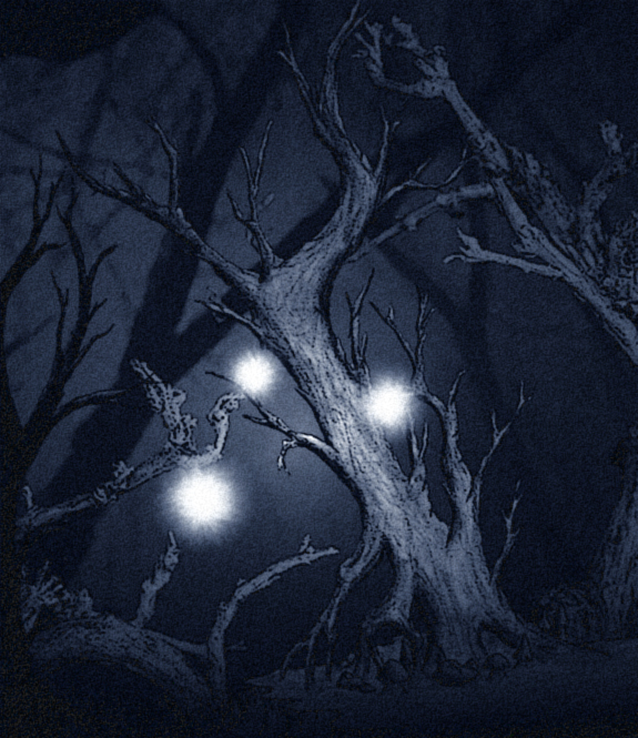 Lumières dansantes Lumières dansantes
