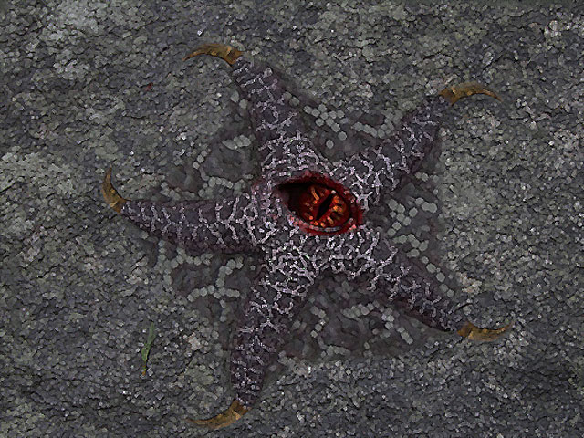 Étoiles carnivores