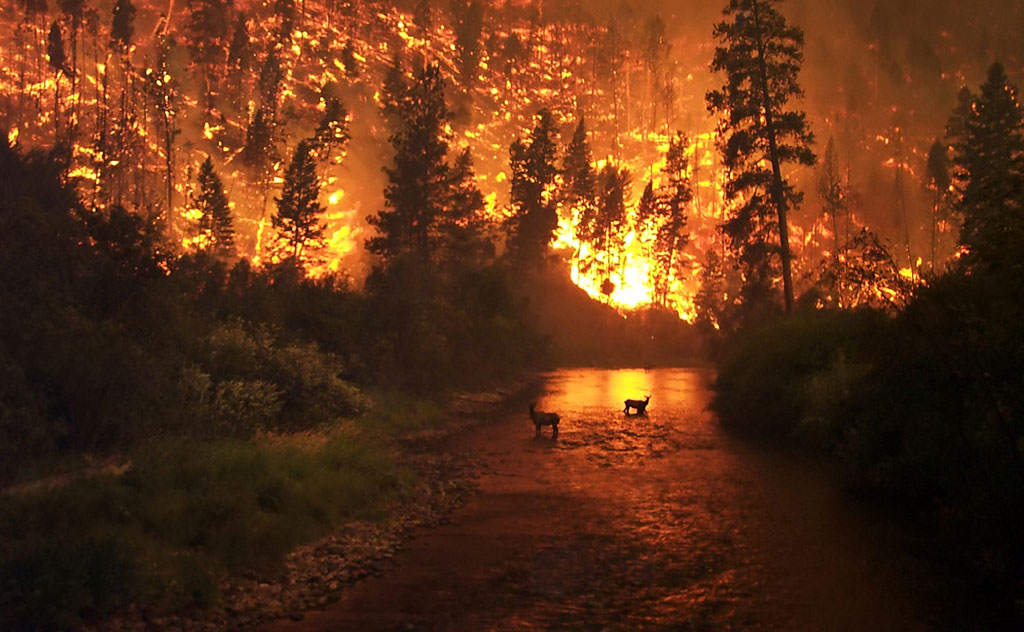 Il faut faire particulièrement attention à l'utilisation des élémentaires de feu car, vous pouvez générer des situations incontrôlables Il faut faire particulièrement attention à l'utilisation des élémentaires de feu, car vous pouvez générer des situations incontrôlables