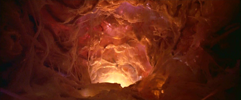 Grotte Boyaux