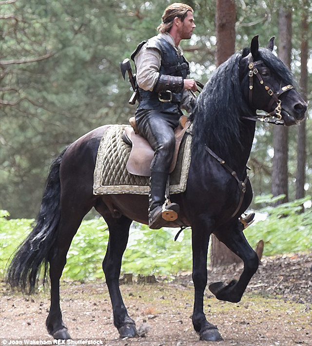 Monture la plus courante : le cheval Monture la plus courante : le cheval