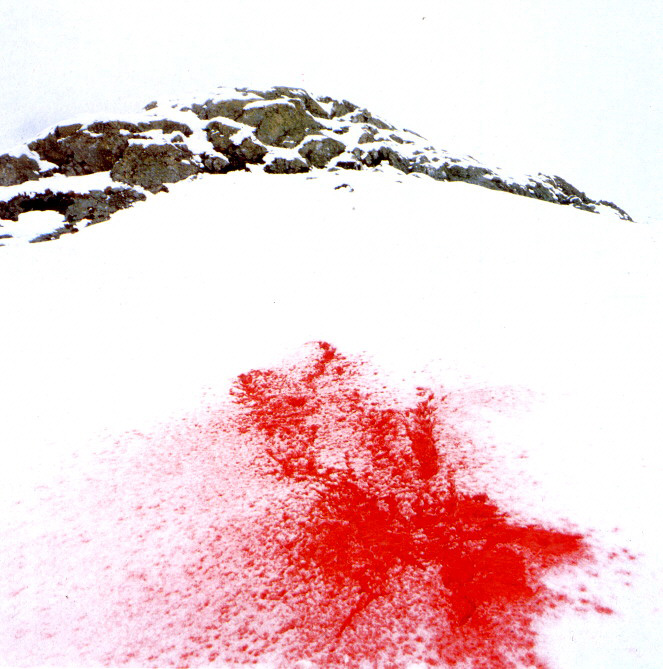 Neige carnivore