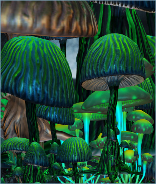 Parc à champignons Parc à champignons