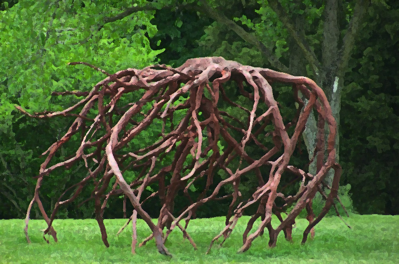 Racines araignée