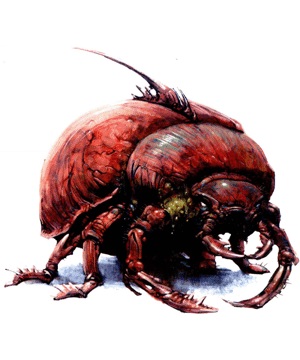 Scarabée trancheur rouge