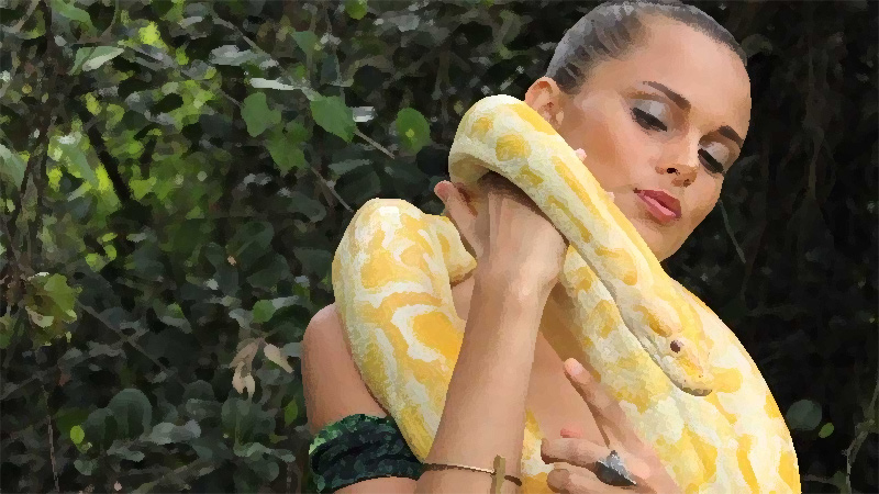 Une méritante et son serpent banane Une méritante et son serpent banane