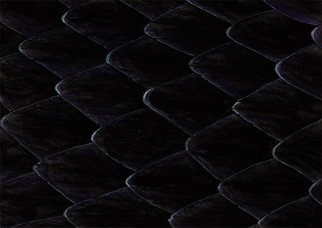 Écailles de Dragon d'ombre