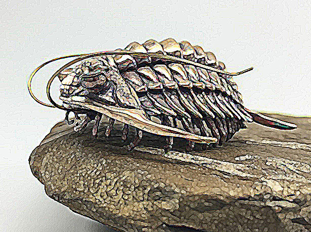 Trilobite