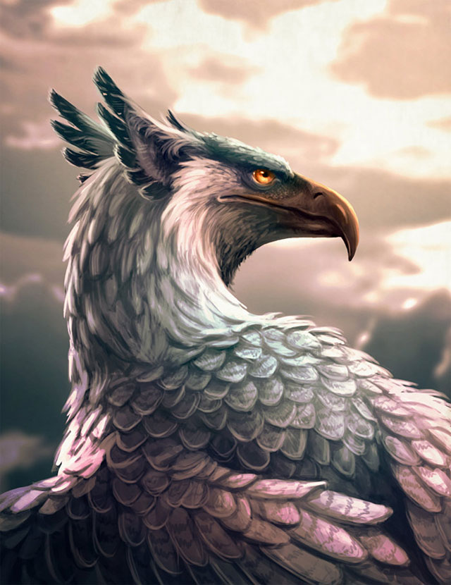 Griffon