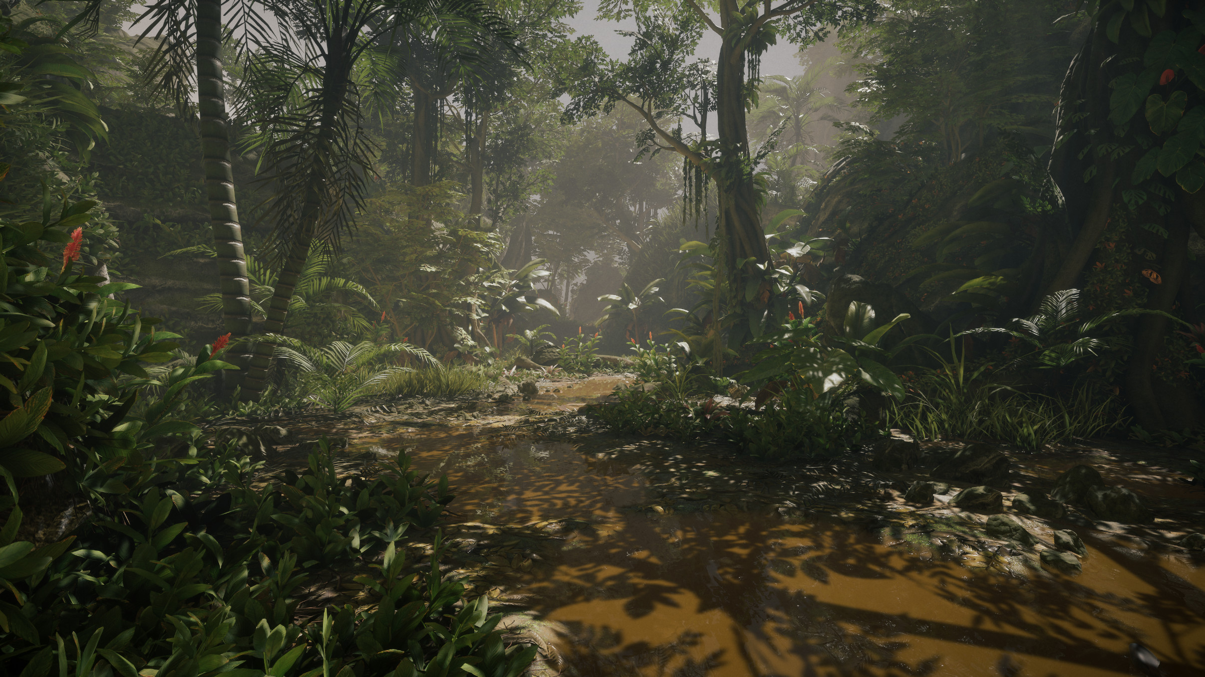 Jungle