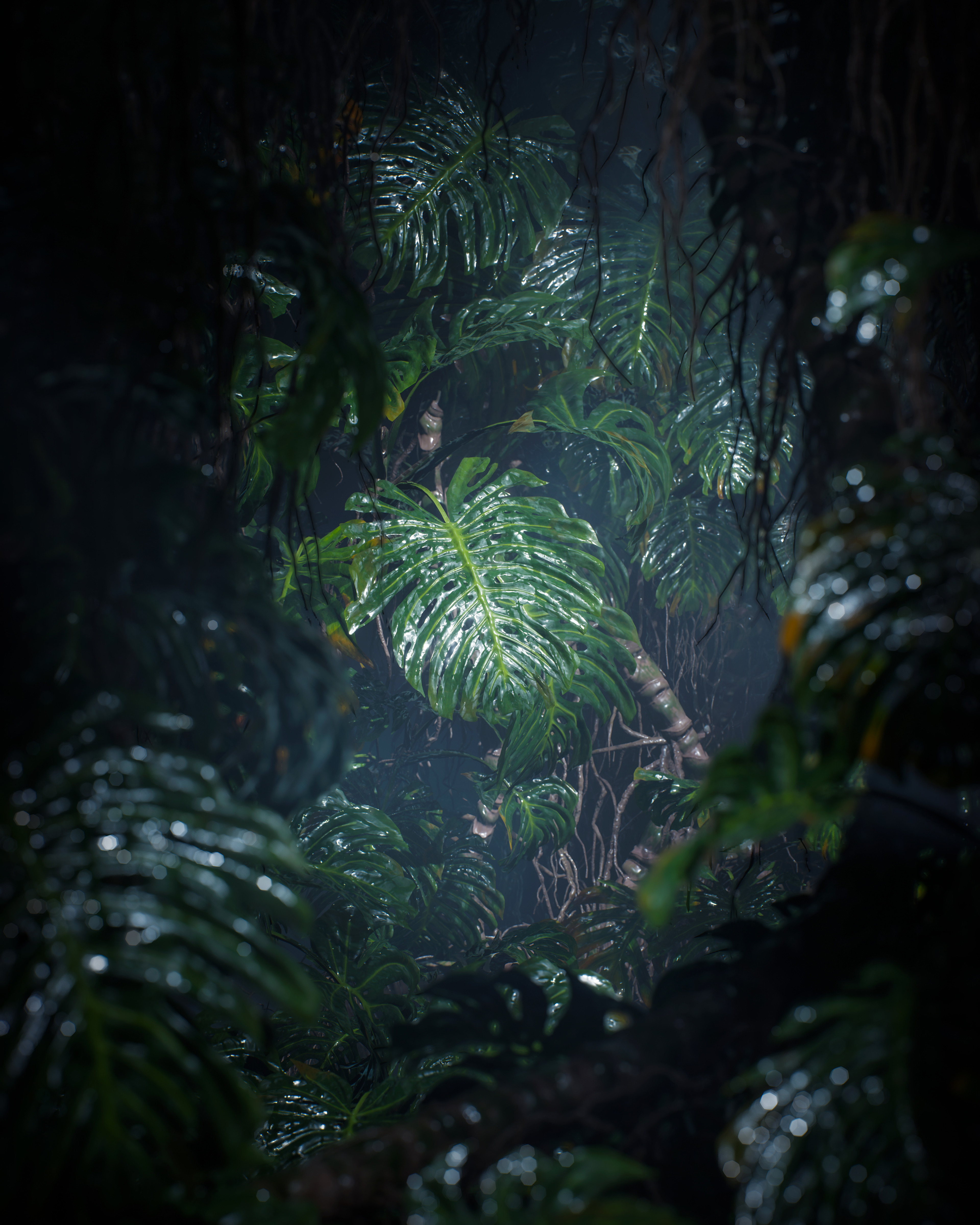 Jungle Jungle