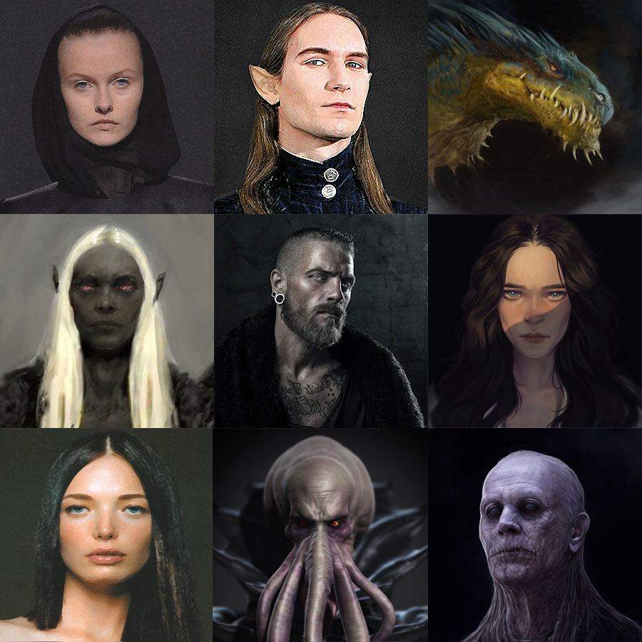 Échantillon de méritants, de haut en bas, de droite à gauche, Humaine, Elfe, Dragon bleu, Elfe noir, Humain, Humaine, Naine, Mind Flayer, Nécromancien humain Échantillon de méritants