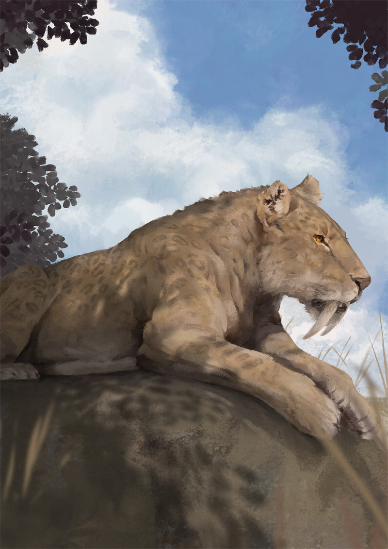 Smilodon Smilodon